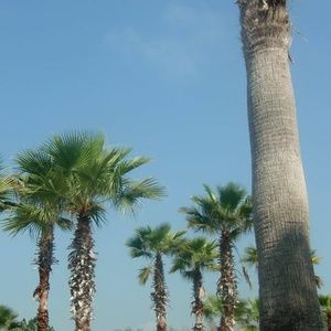 Meet your Posher, D'arcy